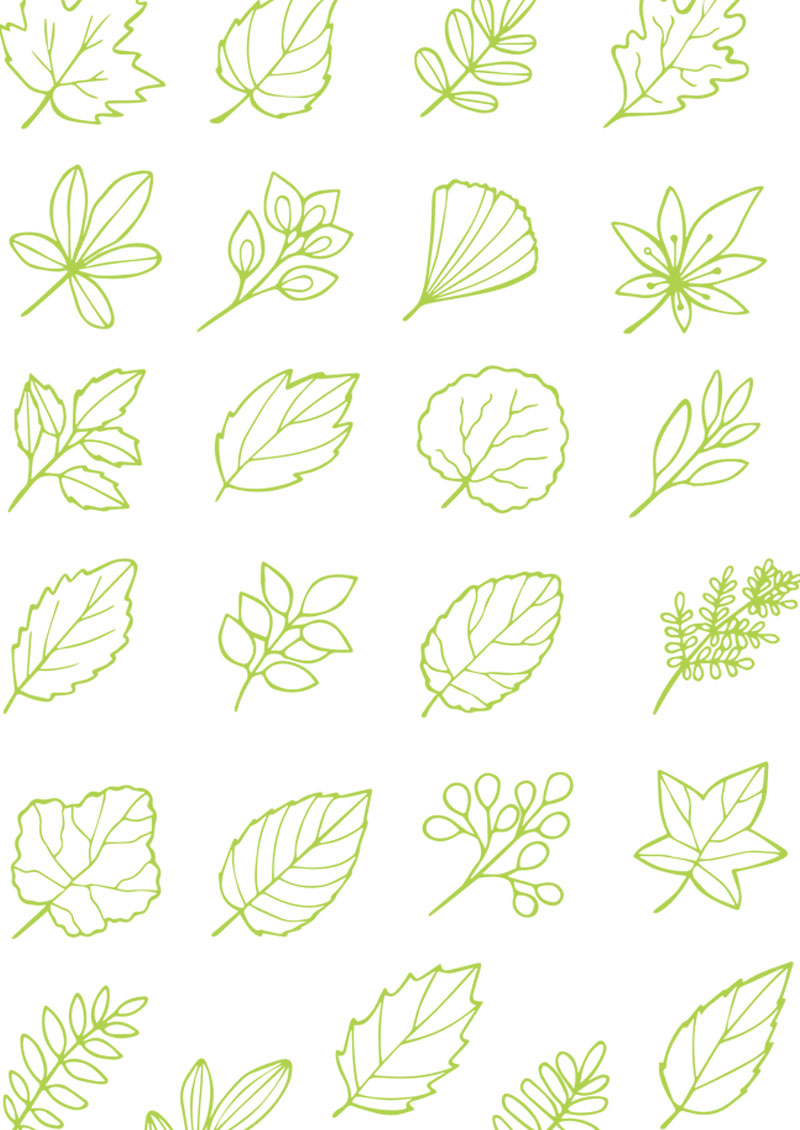 leaves illustration for website background